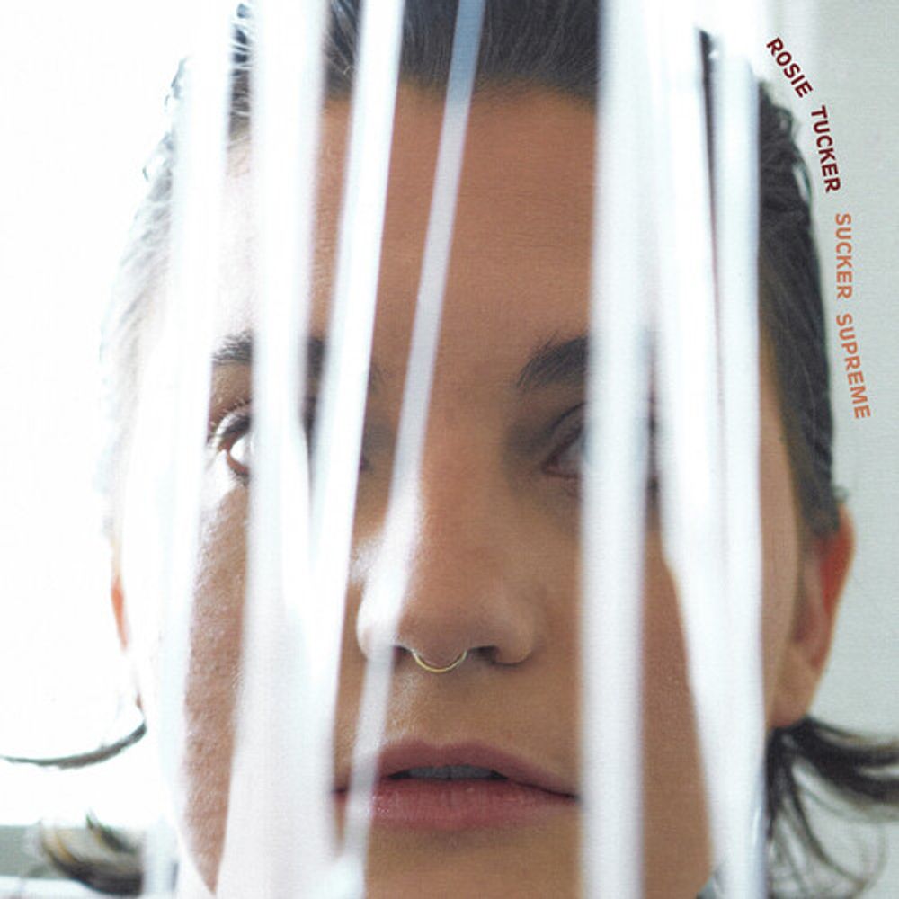 

Виниловая пластинка LP Sucker Supreme [Coke Bottle Clear Vinyl] - Rosie Tucker