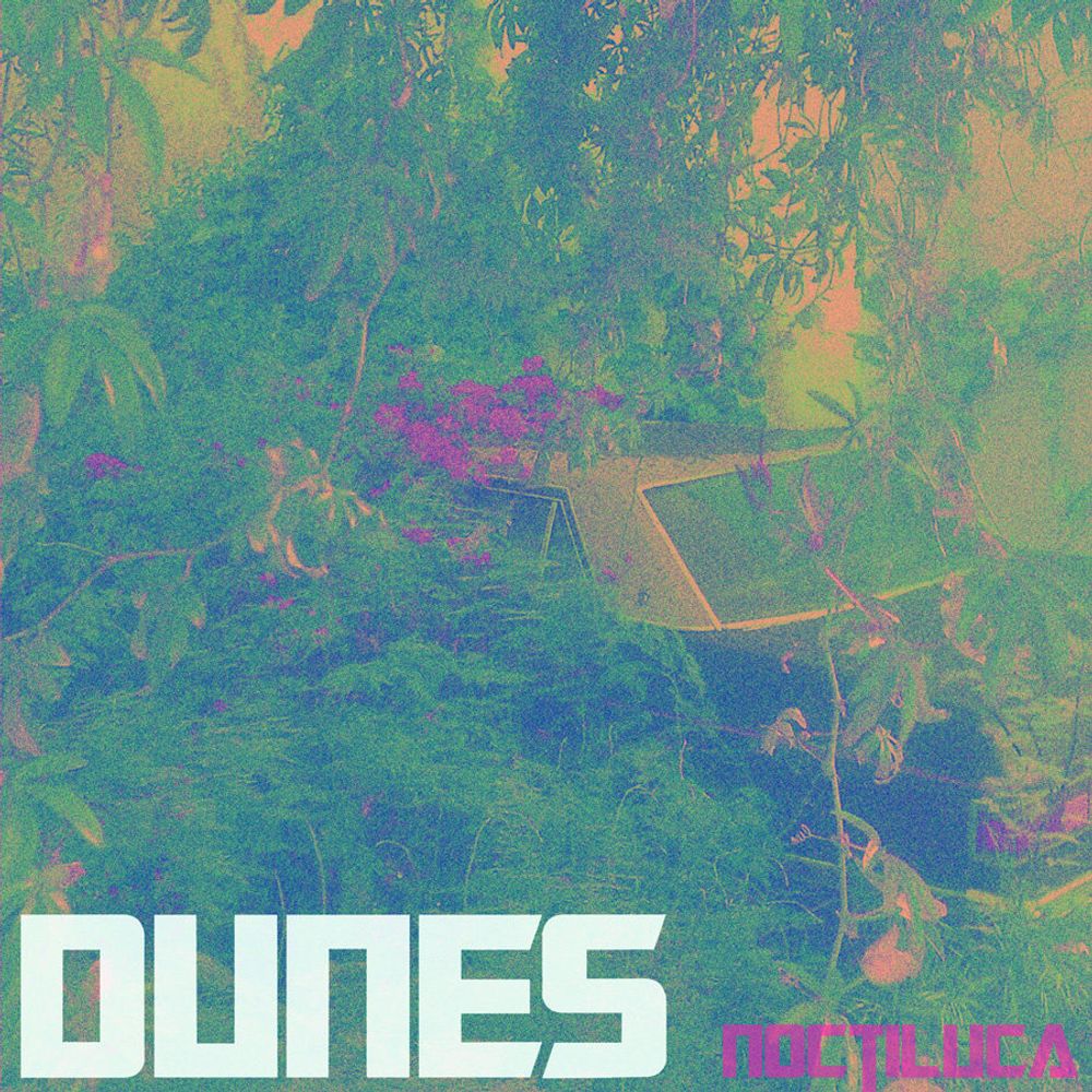 

Диск CD Noctiluca - Dunes
