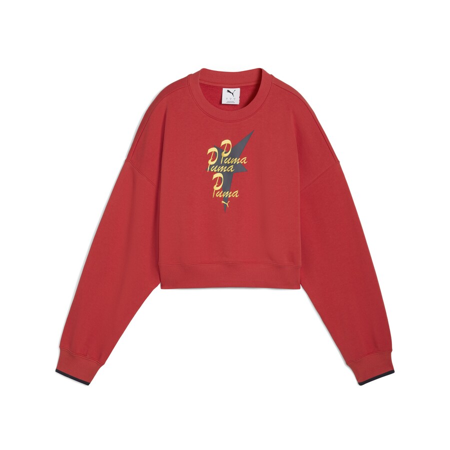 

Толстовка PUMA Road To Unity, цвет Dark red
