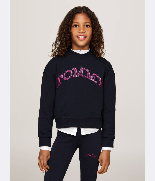 

Толстовка детская Tommy Hilfiger Regular Fit, синий / фиолетовый