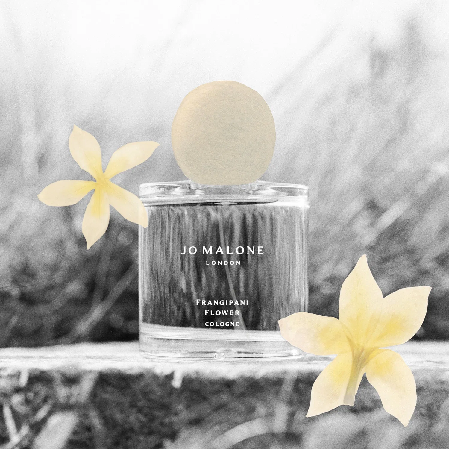 Туалетная вода Frangipani Flower Jo Malone London, 100 мл — фото 2
