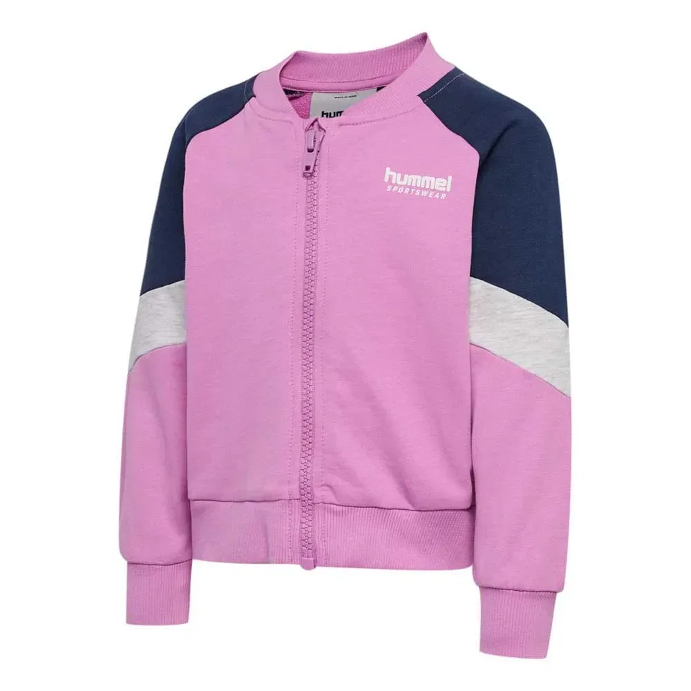 Худи на молнии Hummel Mini Loose Block, розовый