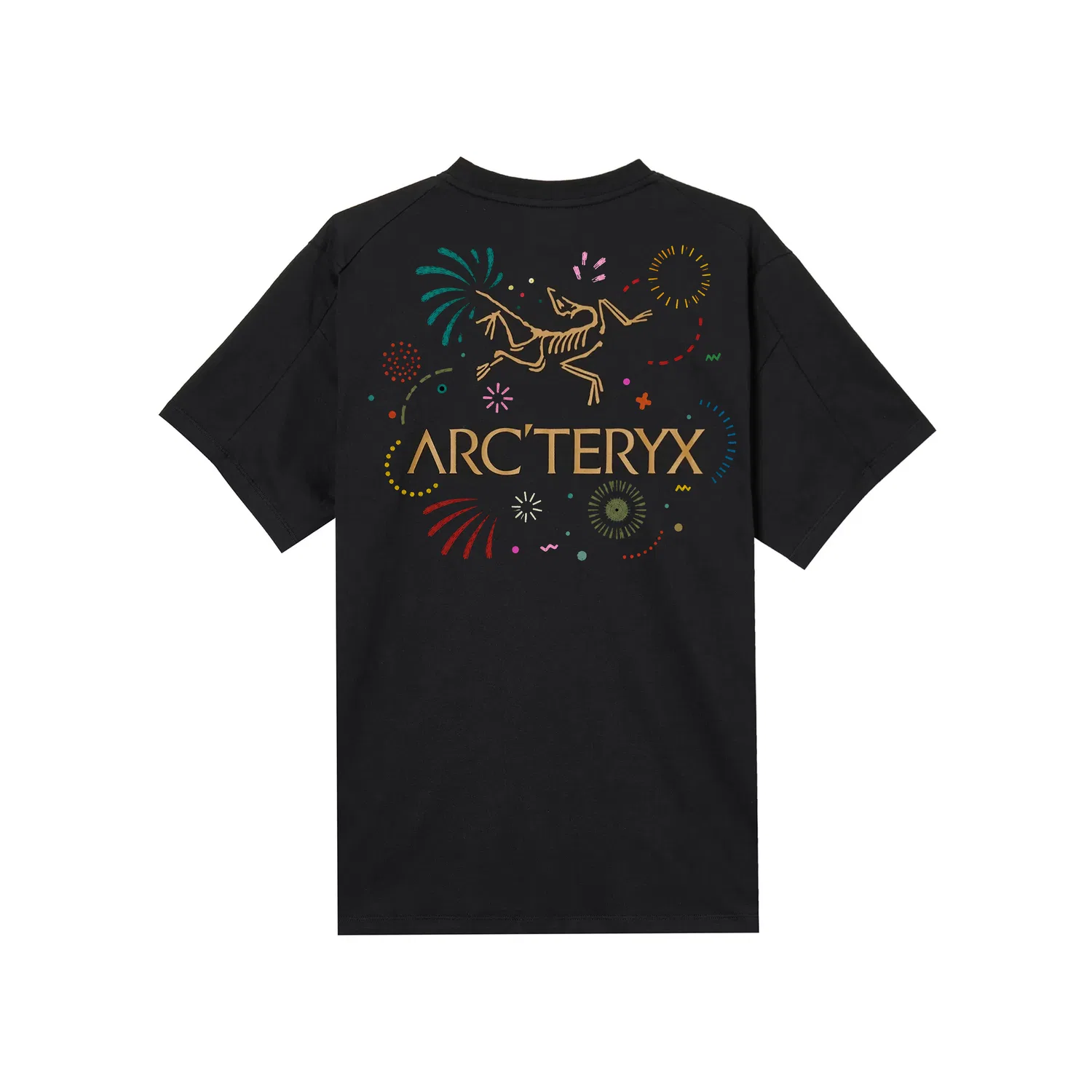 Футболка с круглым вырезом Thin Straight Fit Black Arcteryx, Black