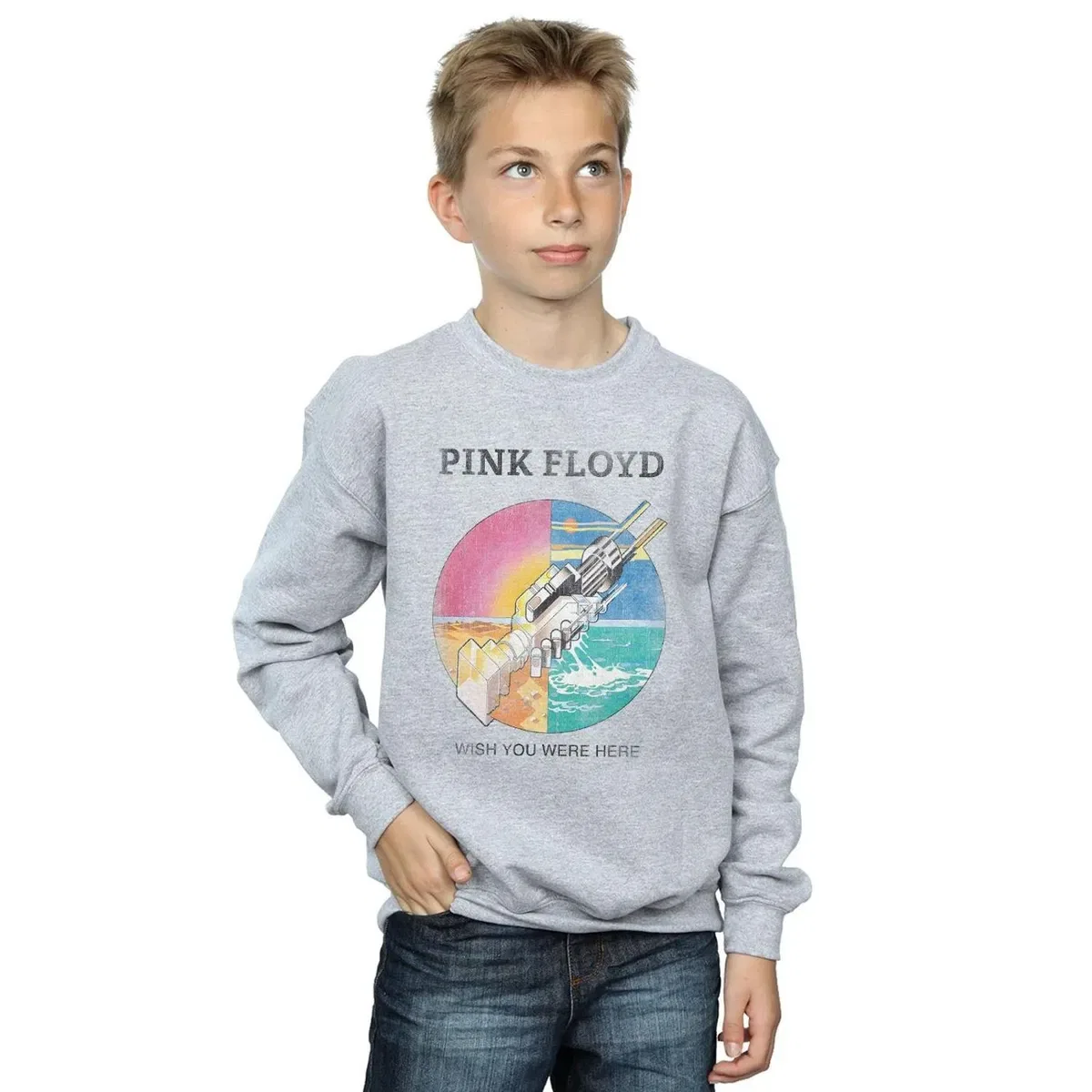 Свитшот Wish You Were Here Pink Floyd, Grey