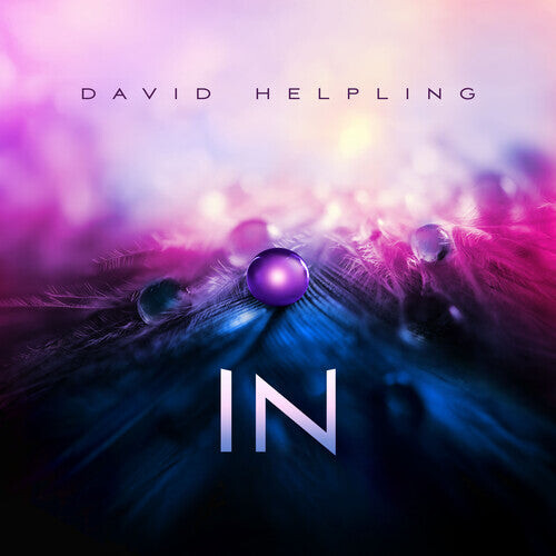 

Виниловая пластинка Helpling, David: In