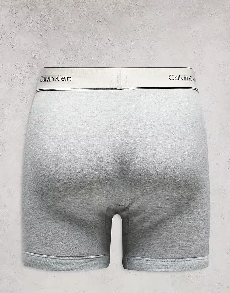 Боксеры-брифы хлопковые Heritage 3 шт Calvin Klein, белый/серый/Oyster — фото 3