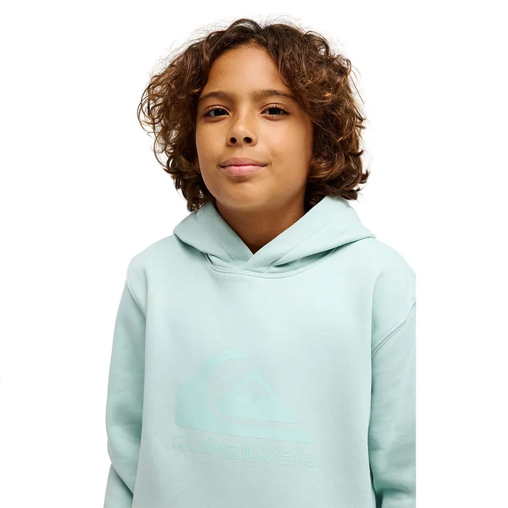 Худи Comp Logo Quiksilver, зеленый — фото 3