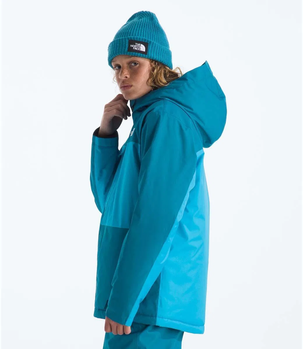 Куртка утепленная Freedom Insulated The North Face, Dusk Blue/Meridian Blue