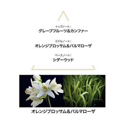 LE COUVENT Botanical Cologne Aqua Mysteri EDT 50 мл — фото 3