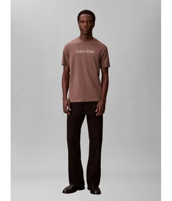 Мужская футболка хлопковая Regular Fit Calvin Klein, коричневый — фото 2