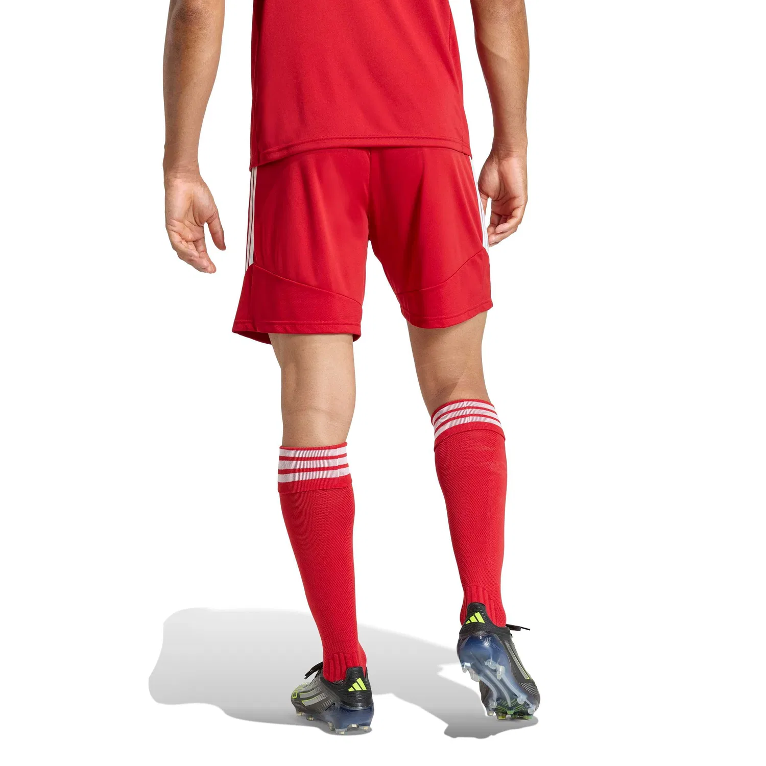Спортивные шорты Adidas Performance Regular Workout Pants Tiro26 League красного цвета — фото 3