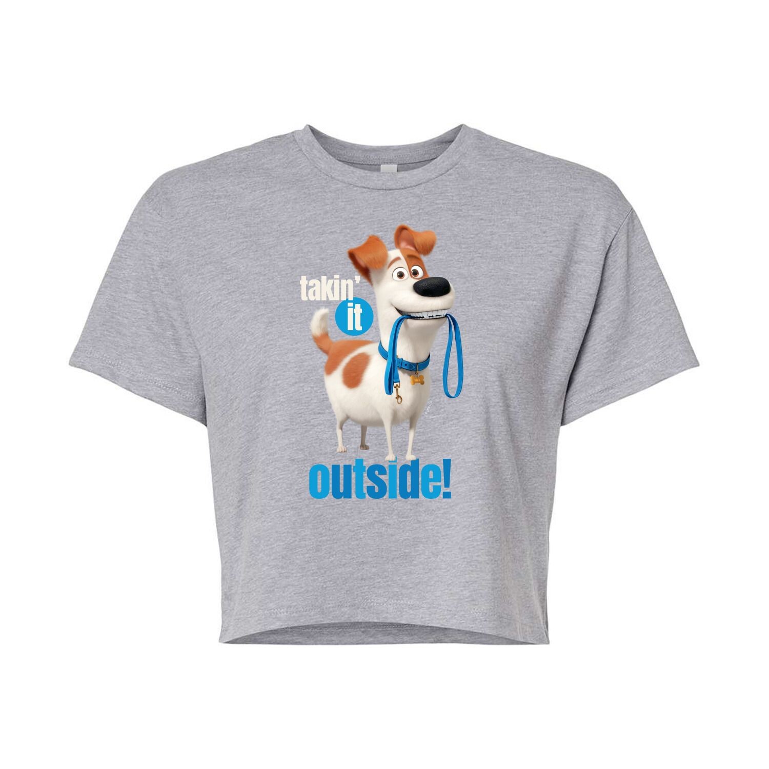 

Укороченная футболка с рисунком Juniors' Secret Life Pets Outside Licensed Character, серый