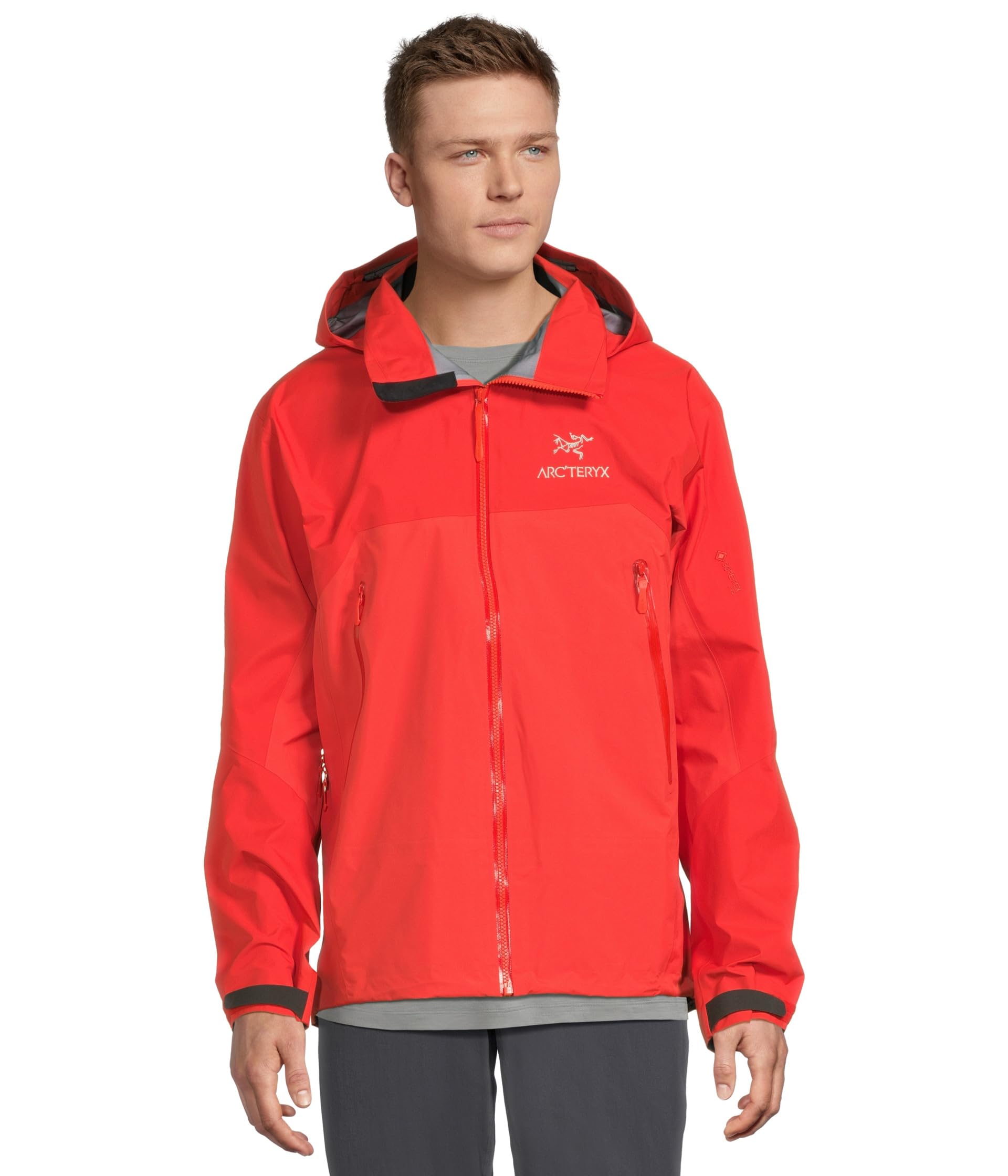 

Куртка Arc'teryx Beta AR Jacket, цвет Dynasty