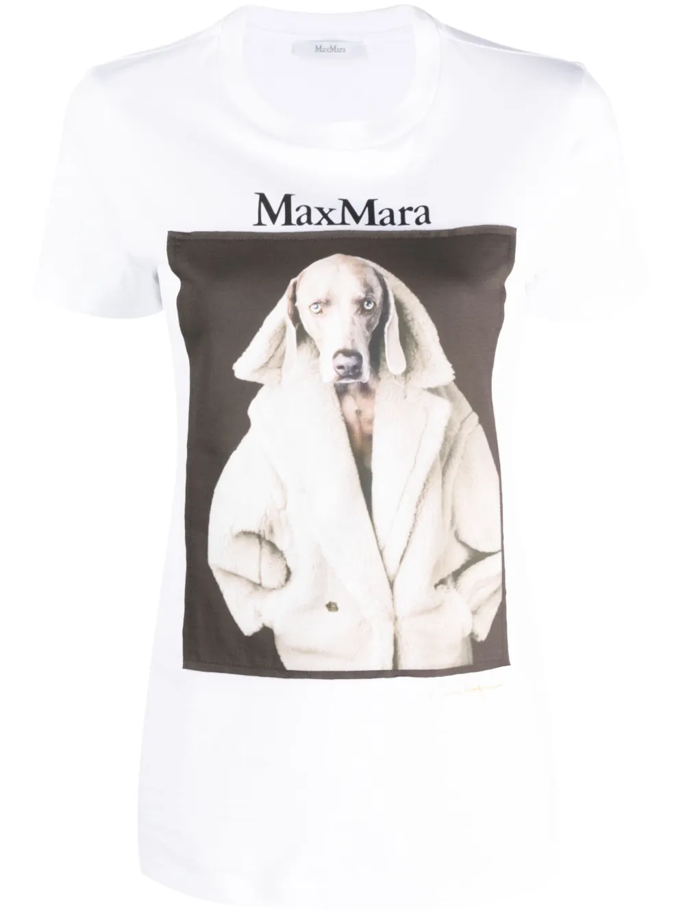 

Футболка с логотипом MAX MARA, белый