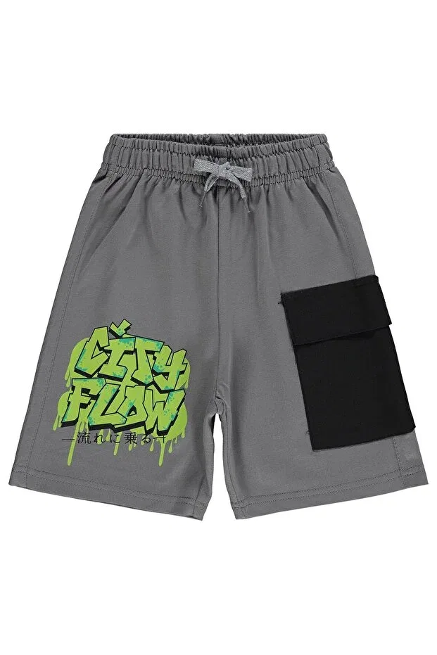 Детские шорты для мальчиков с принтом City flow printed capri Civil Boys, Gray