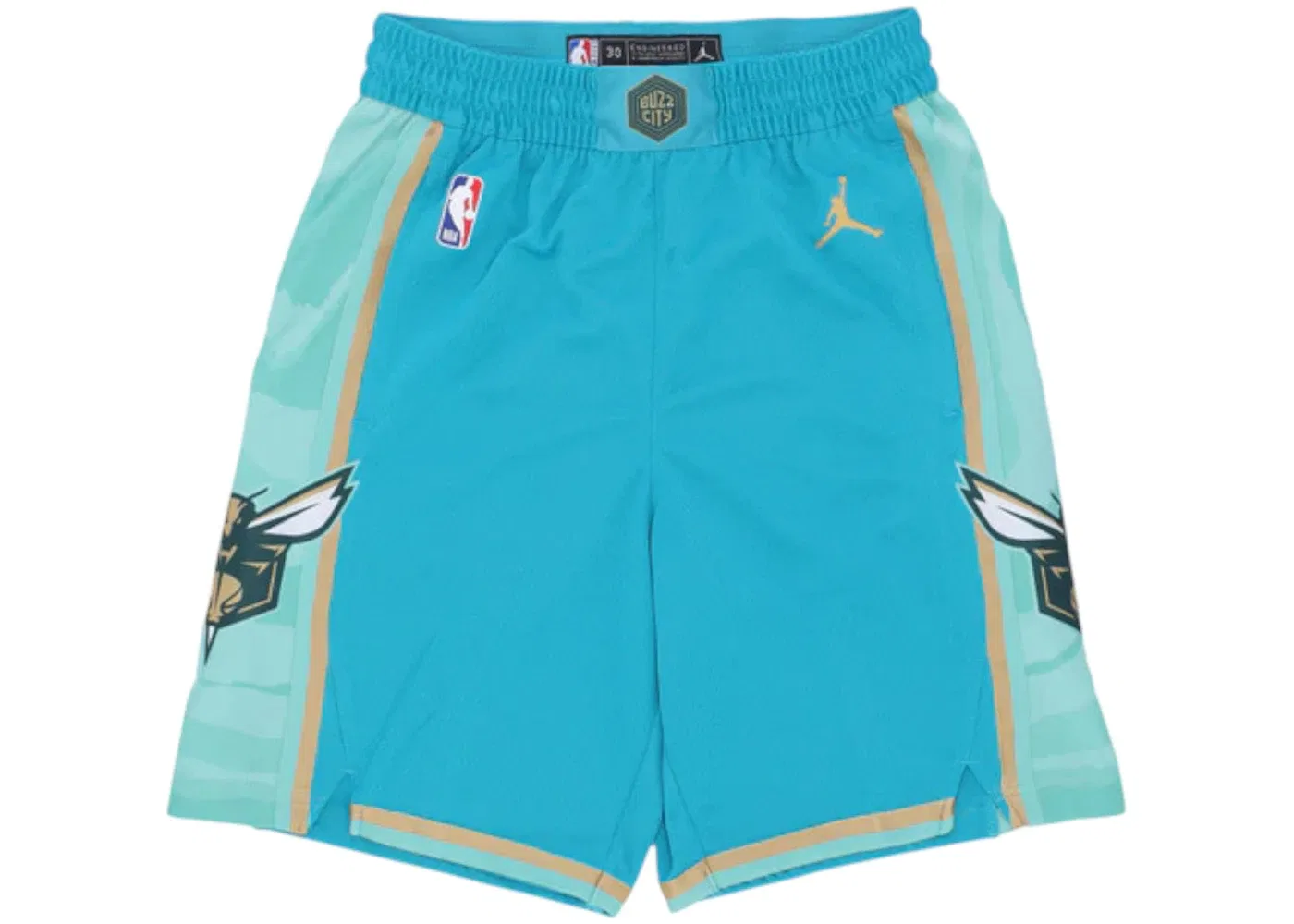 Мужские шорты с принтом Nike NBA Charlotte Hornets City Edition 2023/24 Swingman, Teal/Club Gold