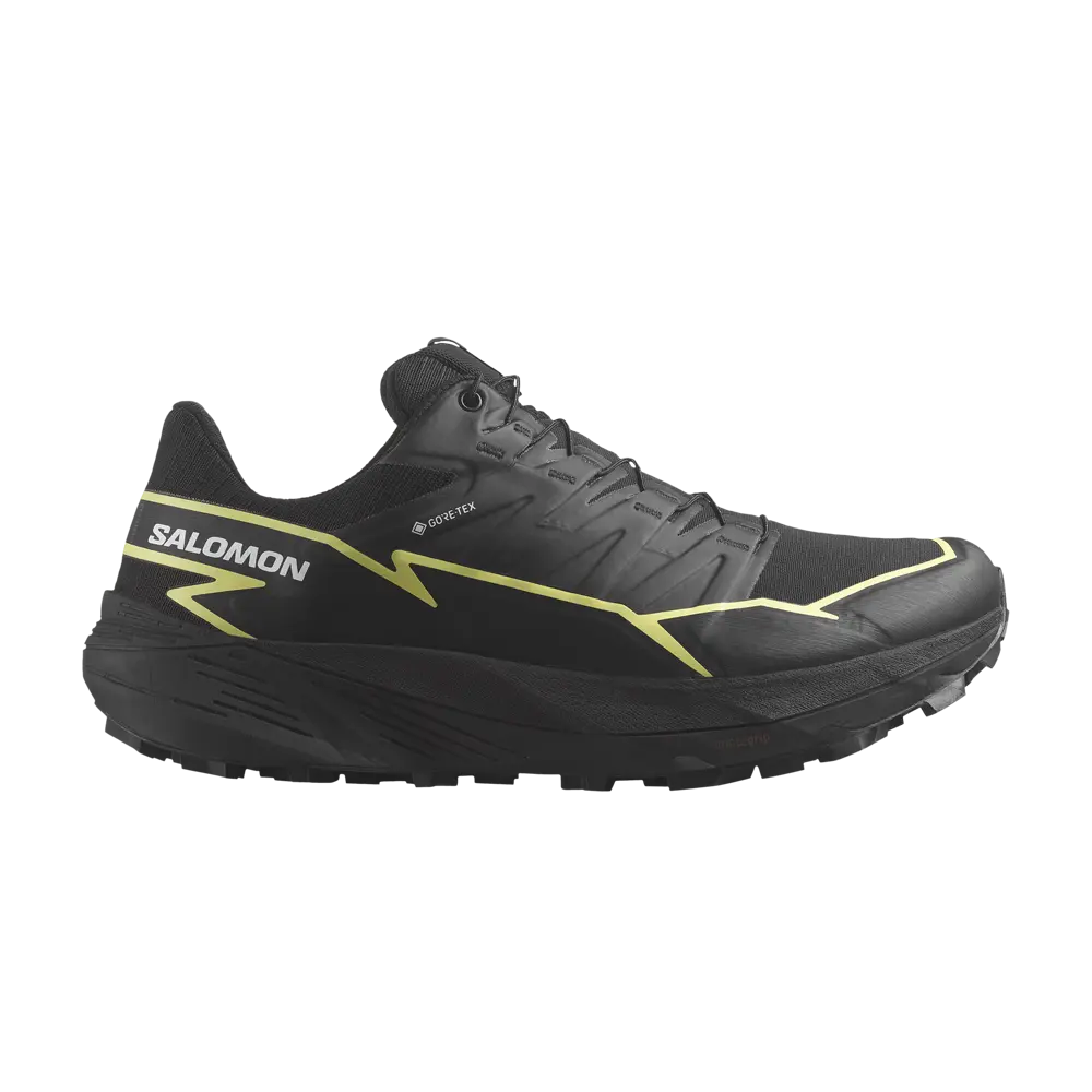 

Кроссовки Wmns Thundercross GORE-TEX Salomon, черный