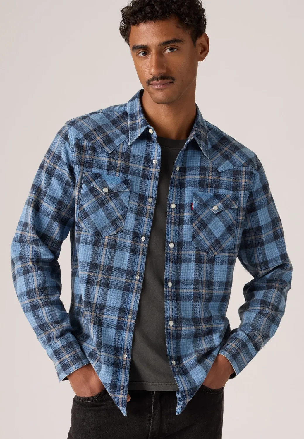 Рубашка Barstow Western Standard Levi'S, Quiet Harbor