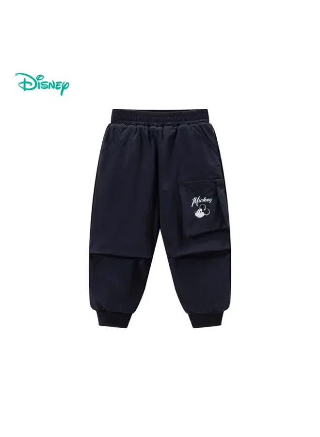 Штаны утепленные спортивные свободные Disney, серо-синий