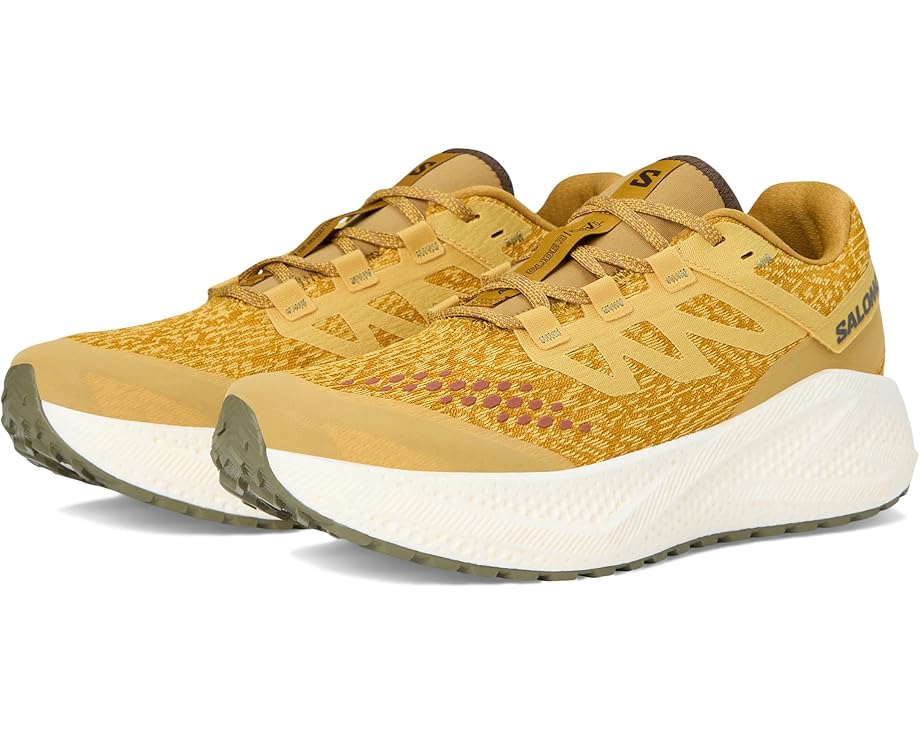 

Кроссовки Salomon Aero Glide 3 Grvl, цвет Spicy Mustard/Vanilla Ice/Deep Lichen Green