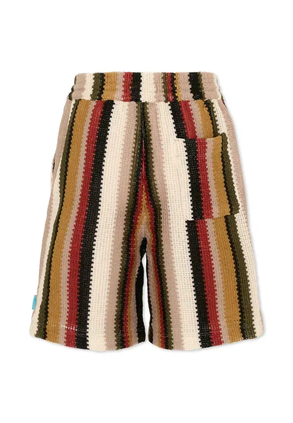 Шорты с узором в полоску Shorts Scotch & Soda, Multi-coloured, мультиколор — фото 2