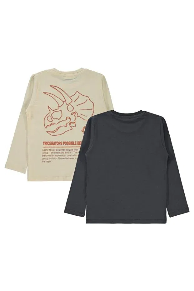 Детский комплект свитшотов для мальчиков с принтом Dino Printed Civil Boys, Anthracite — фото 2