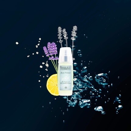 Rodolphe & Co Ocean Mist Спрей с морской солью, 3,4 жидких унции, Rodolphe&Co