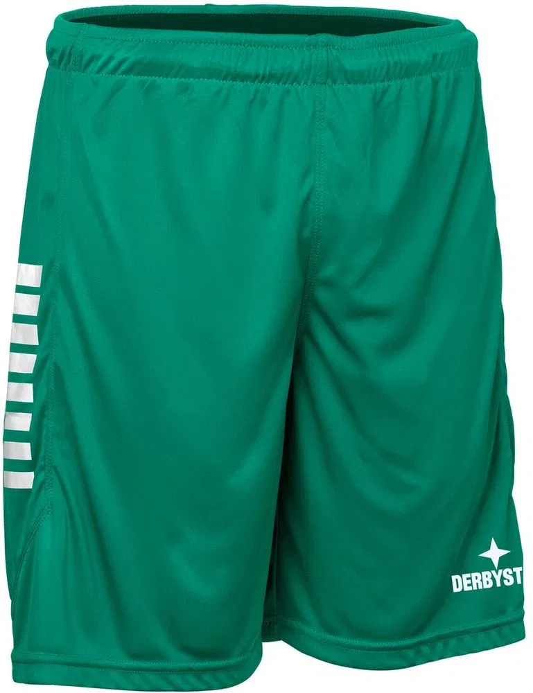Шорты детские спортивные модель Hose Kurz Primo V24 Derbystar, зеленый