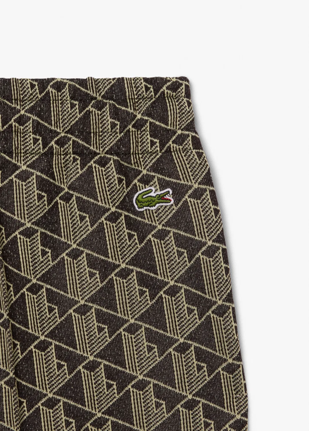 Спортивные брюки Lacoste коричневые — фото 4