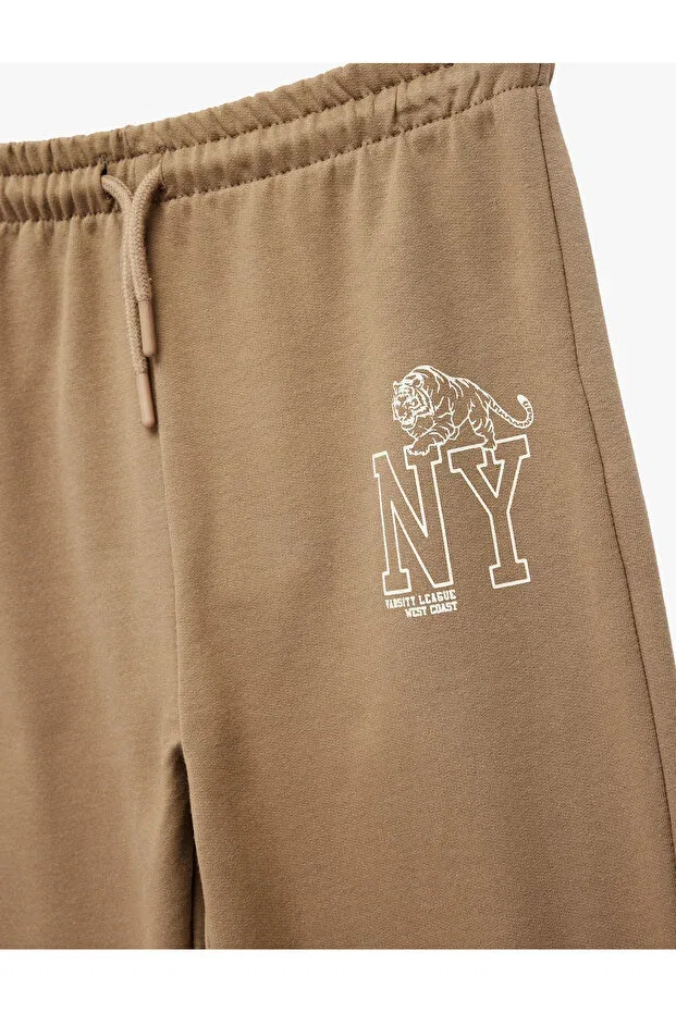 Детские спортивные штаны для мальчиков с принтом Cotton Print Detailed Hooded Jogger Koton, Brown — фото 3