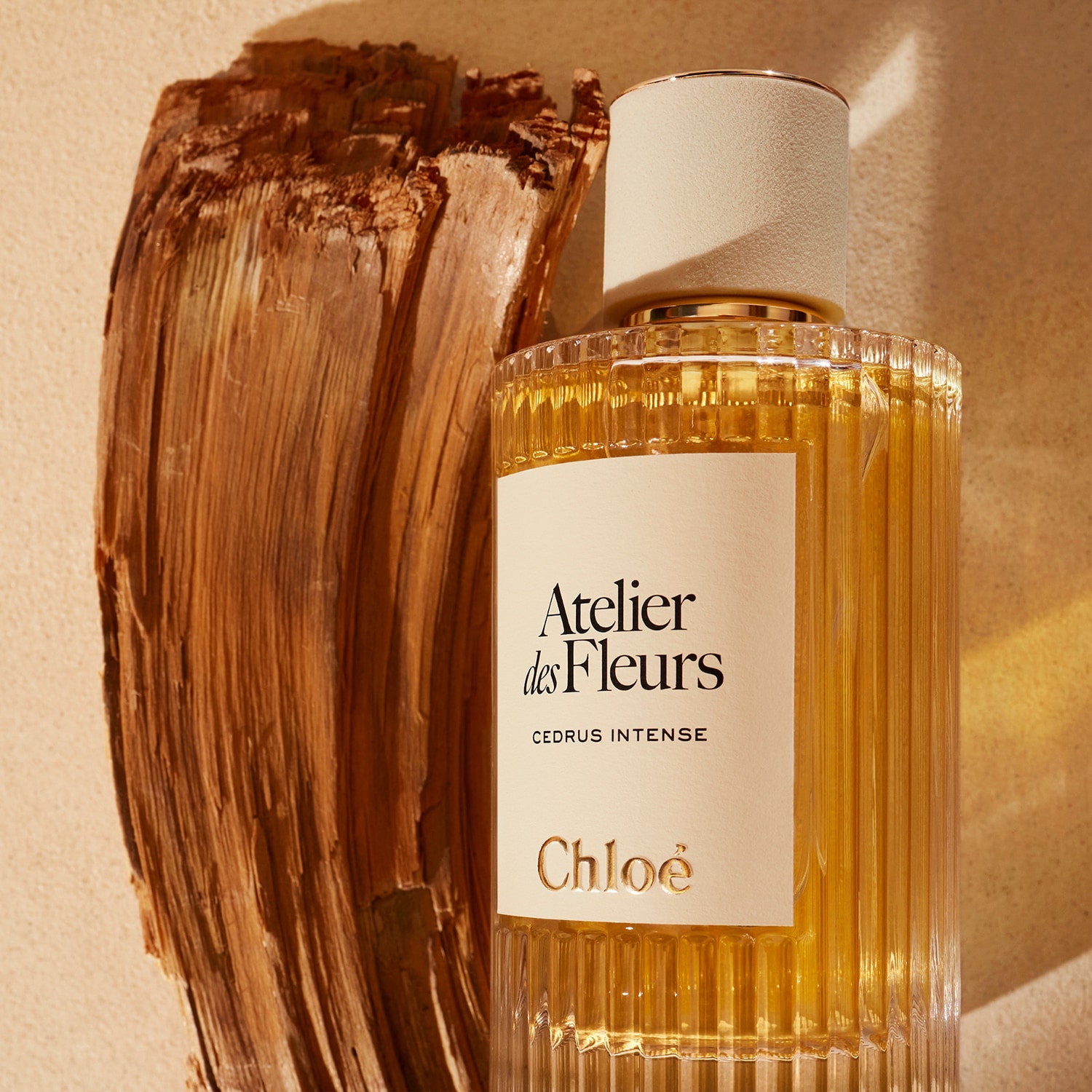 Парфюмерная вода Chloé  Atelier des Fleurs Cedrus Intense — фото 3