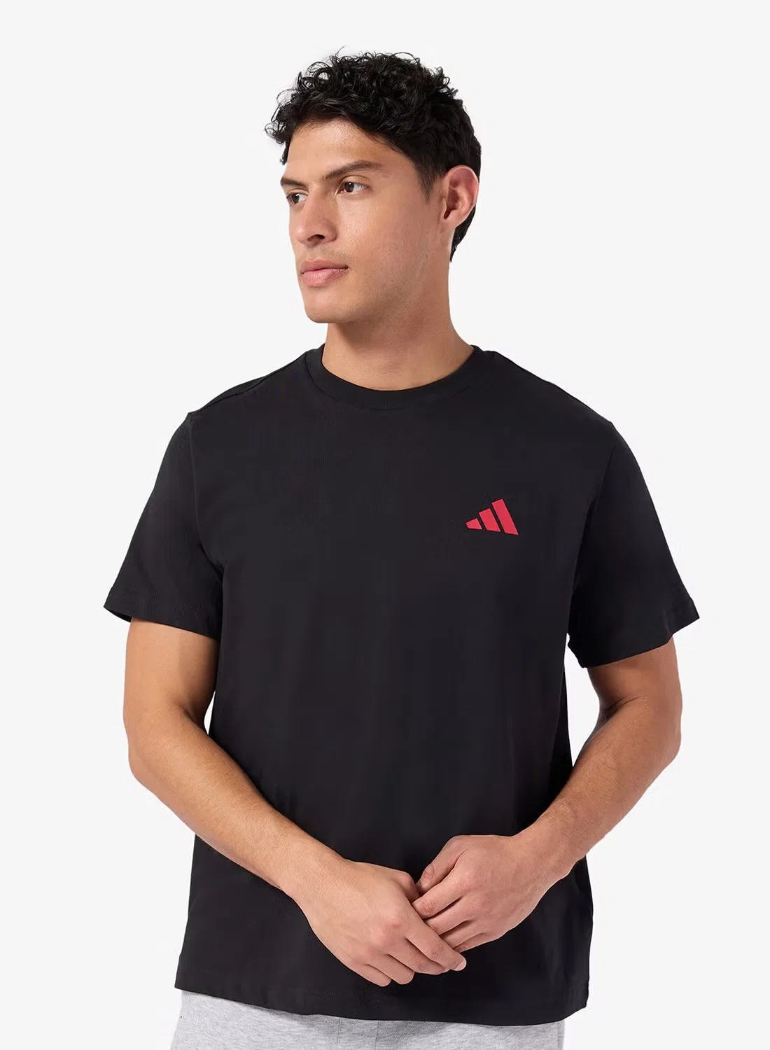 Футболка с принтом Egypt pyramids Adidas, черный