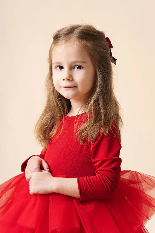 Детское платье-пачка с длинным рукавом Violet ballerina dress tulle tutu dress Banamio, Red — фото 3