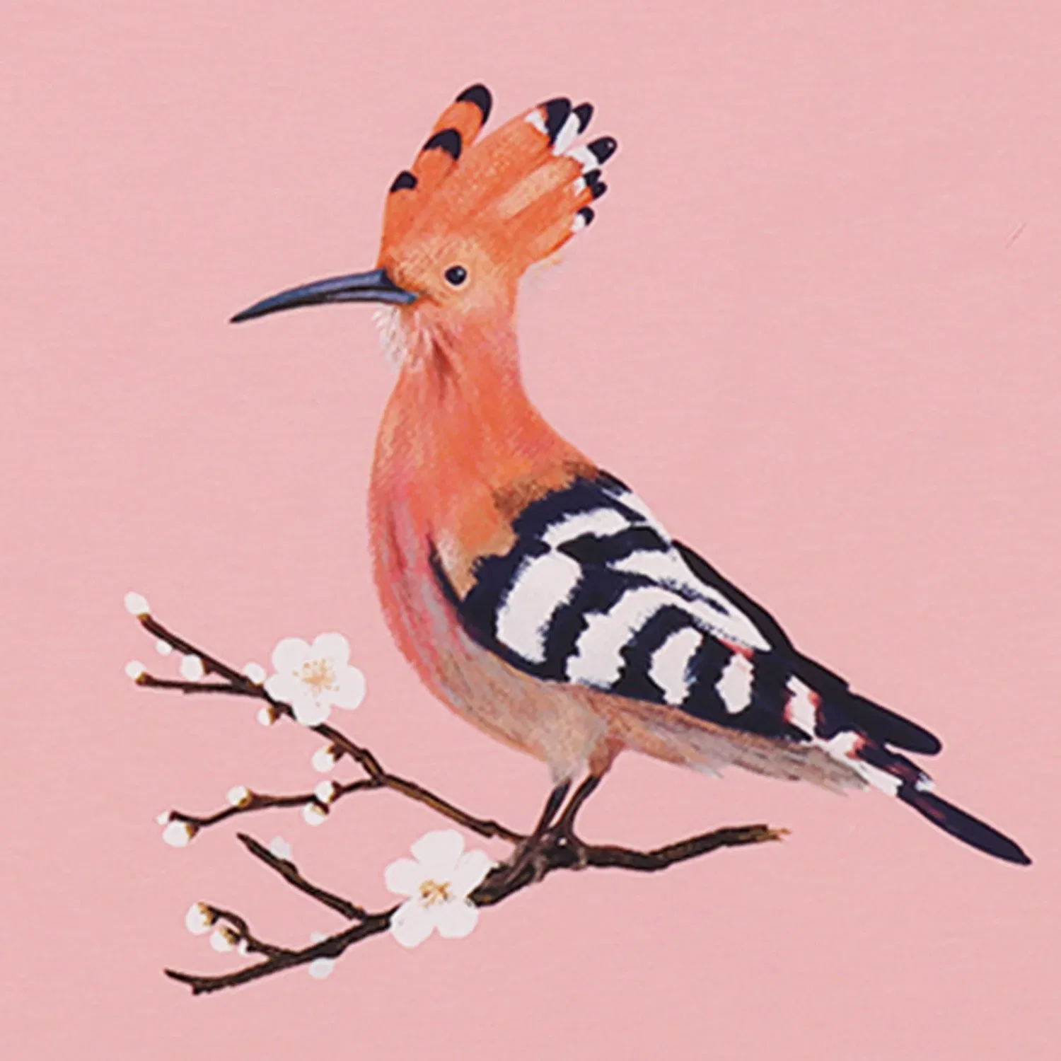 Футболка с принтом Happy Hoopoes Walkiddy — фото 4