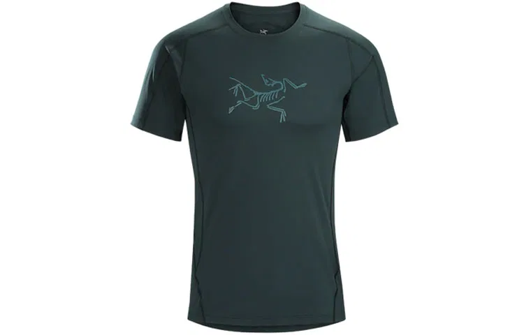 Мужская футболка из мериносовой шерсти Ionia Arcteryx, Labyrinth Green