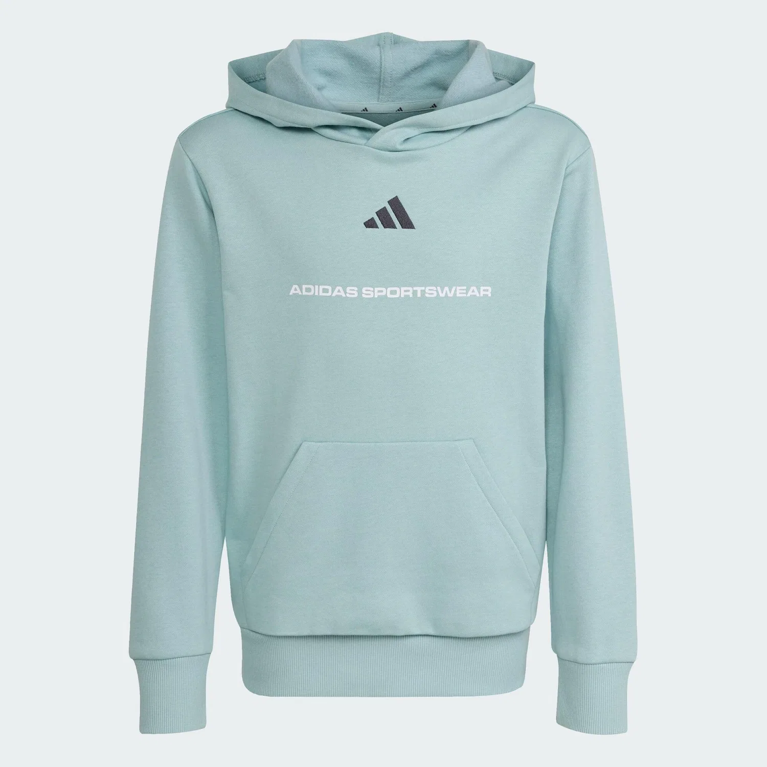 Мужское худи с принтом Slogan Fleece Adidas, Aquamaringrun Blau