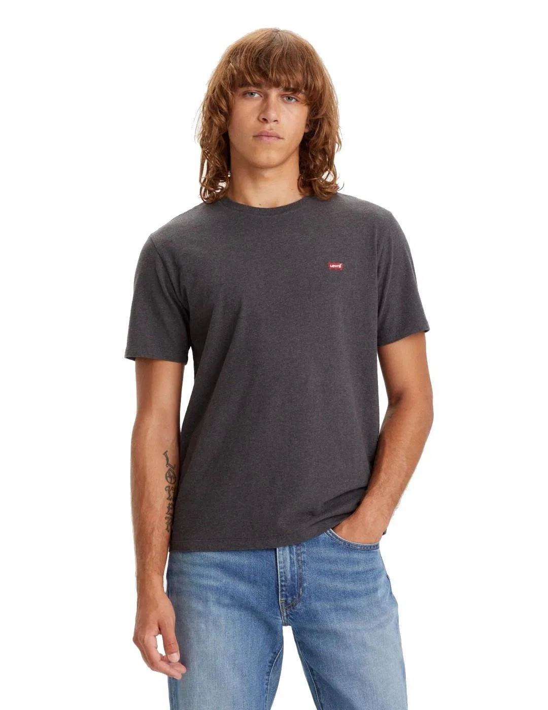 Мужская футболка с логотипом B65 Bark Levi's, Цвет Grau