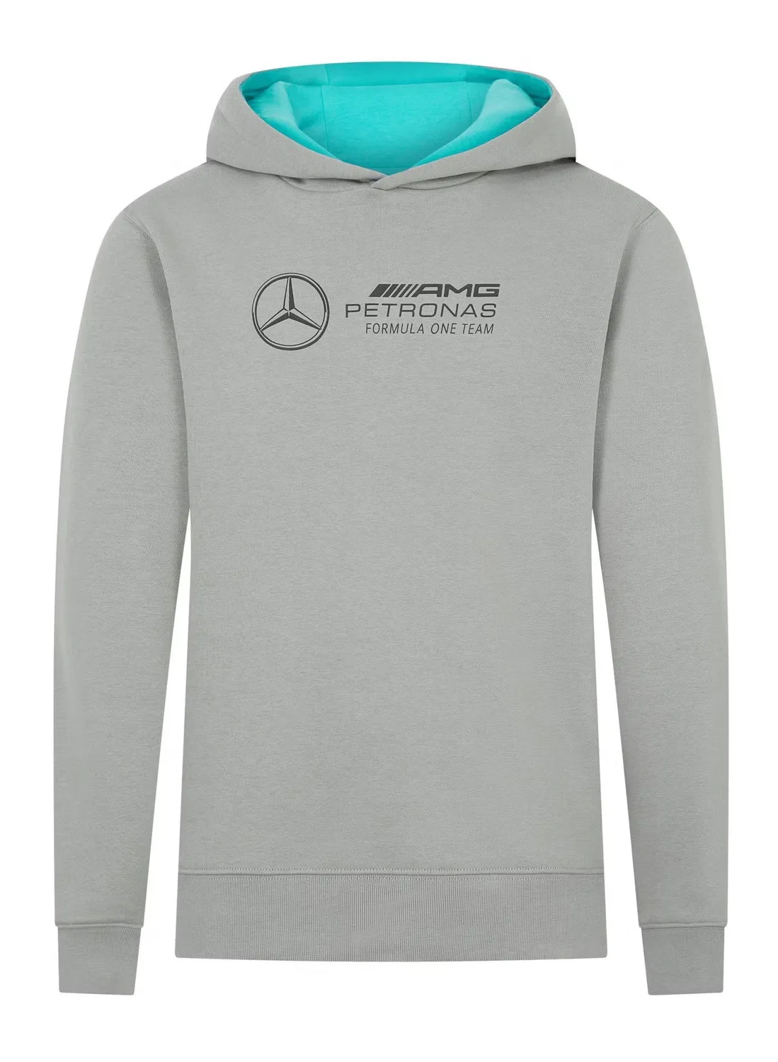 Amg Petronas Formula 1 Team Худи детское с крупным логотипом Mercedes-Amg Formula 1 Team, серый — фото 2