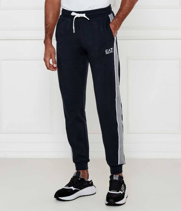 

Штаны мужские Ea7 Regular Fit спортивные, синий / белый