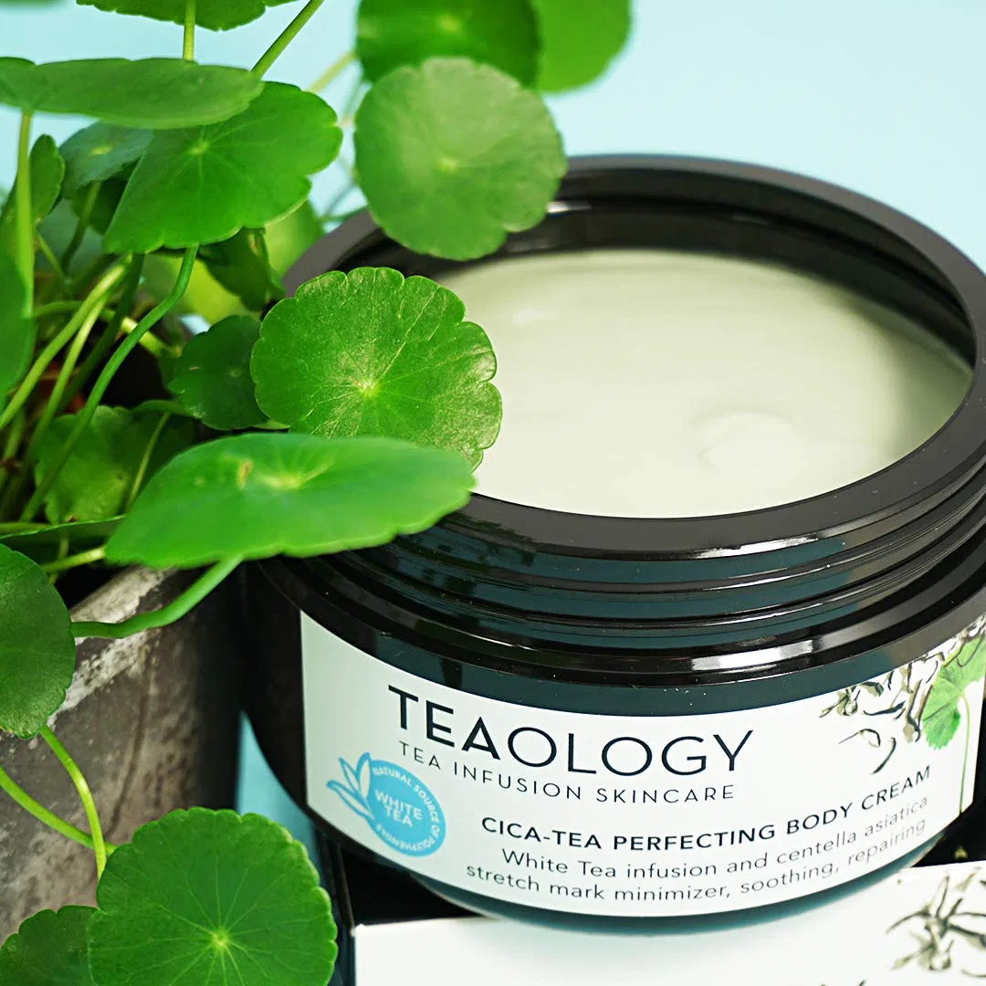 Крем для тела Teaology Cica-Tea Perfecting Body Cream, 300 мл Teaology — фото 3