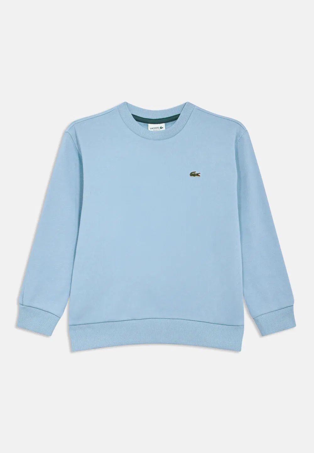Толстовка унисекс для основного состава команды Lacoste, Panorama