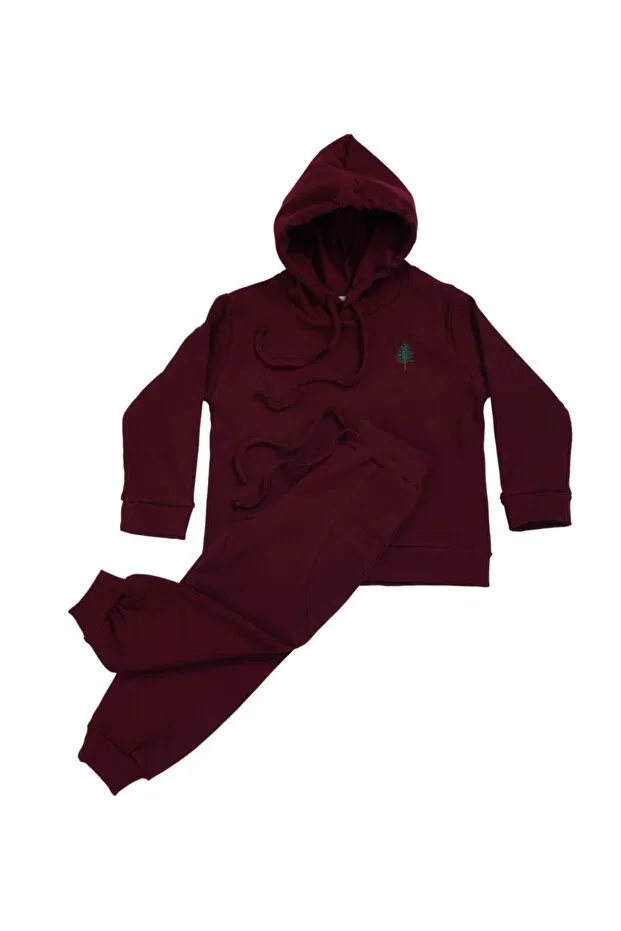 Детские спортивные штаны для девочек с принтом Basic Jogger Green Attitude, Burgundy — фото 3