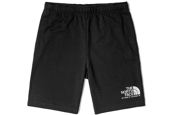 

THE NORTH FACE Мужские повседневные шорты, цвет Black