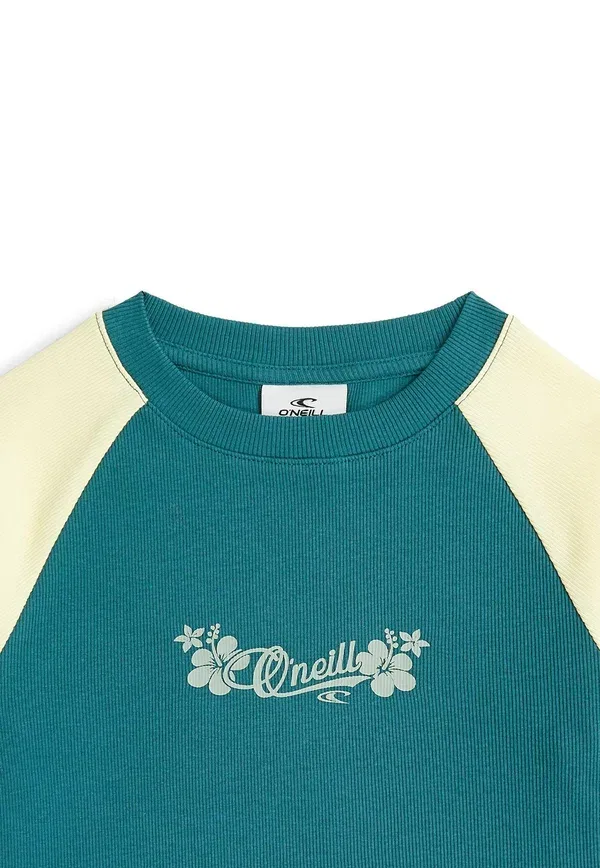 Футболка с принтом, хлопок с эластаном, Tees Shortsleeve O'Neill, Botanical Heat Colour Block — фото 3