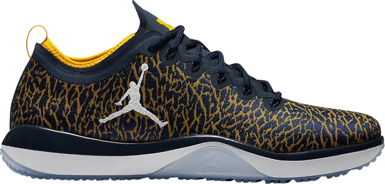 

Кроссовки Jordan Trainer 1 Low Michigan, синий