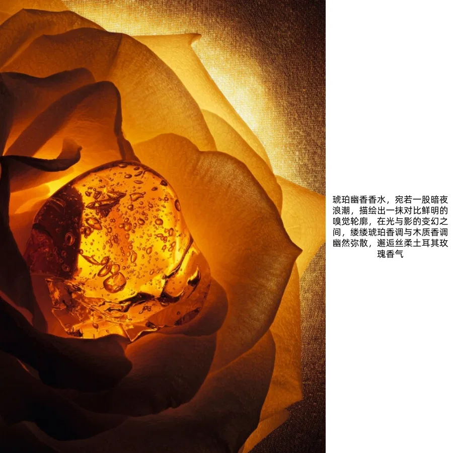 Парфюмерная вода Amber Faint Scent DIOR, 100 мл — фото 4