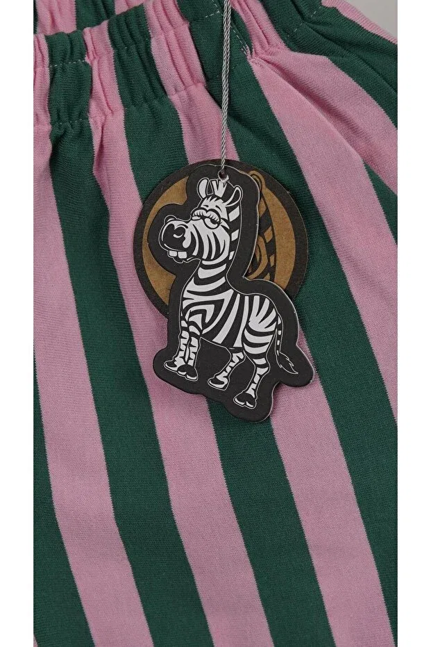 Детские шорты для мальчиков в полоску Zoi Zebra, Pink & Green — фото 2
