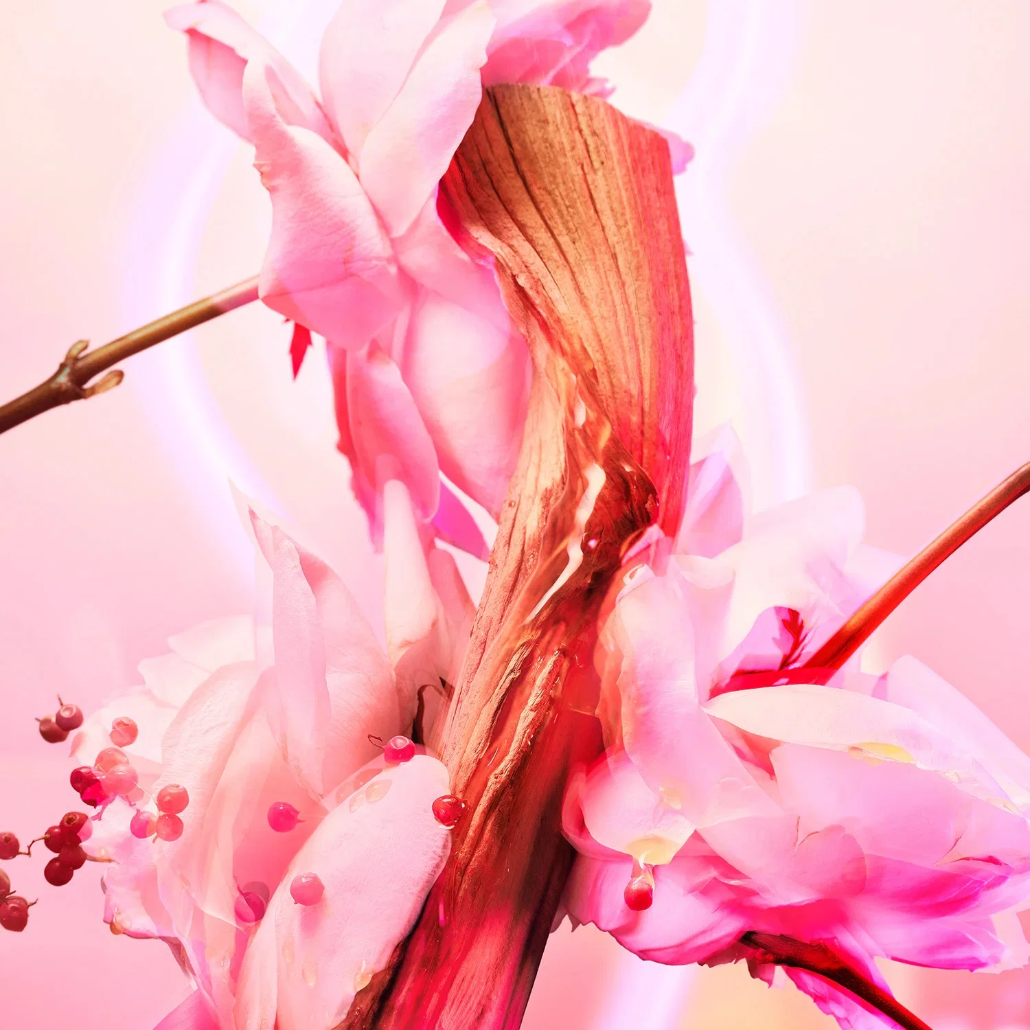 Парфюмерная вода 100 мл с цветочно-древесным ароматом Love Frequency, CHARLOTTE TILBURY — фото 4