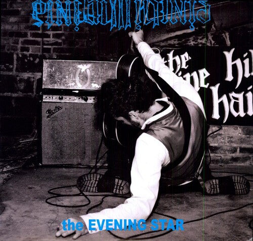 

Виниловая пластинка Pine Hill Haints: The Evening Star
