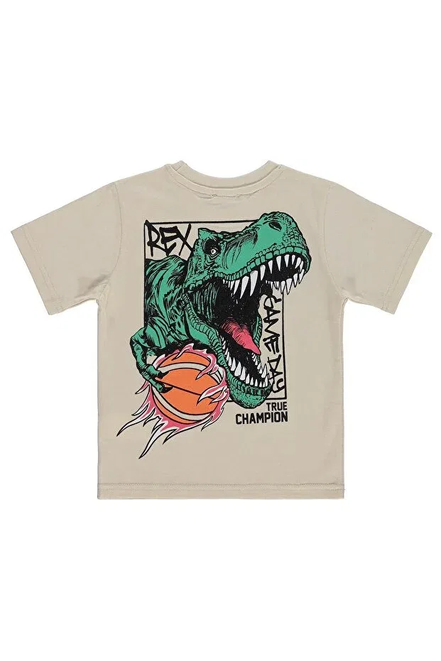 Детская футболка для мальчиков с принтом Rex dinosaur print Civil Boys, Stone Color — фото 2